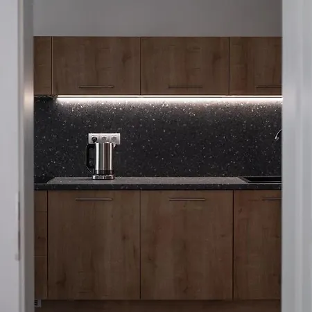 Spacious In Karlin By Days Prague